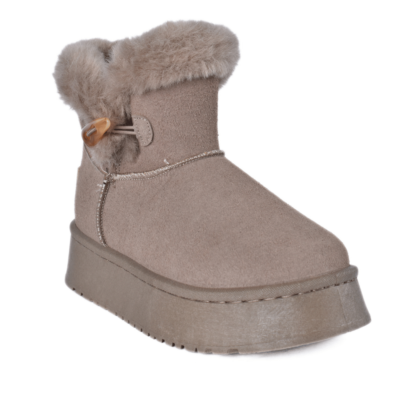 Cozy Winter Boots for Women